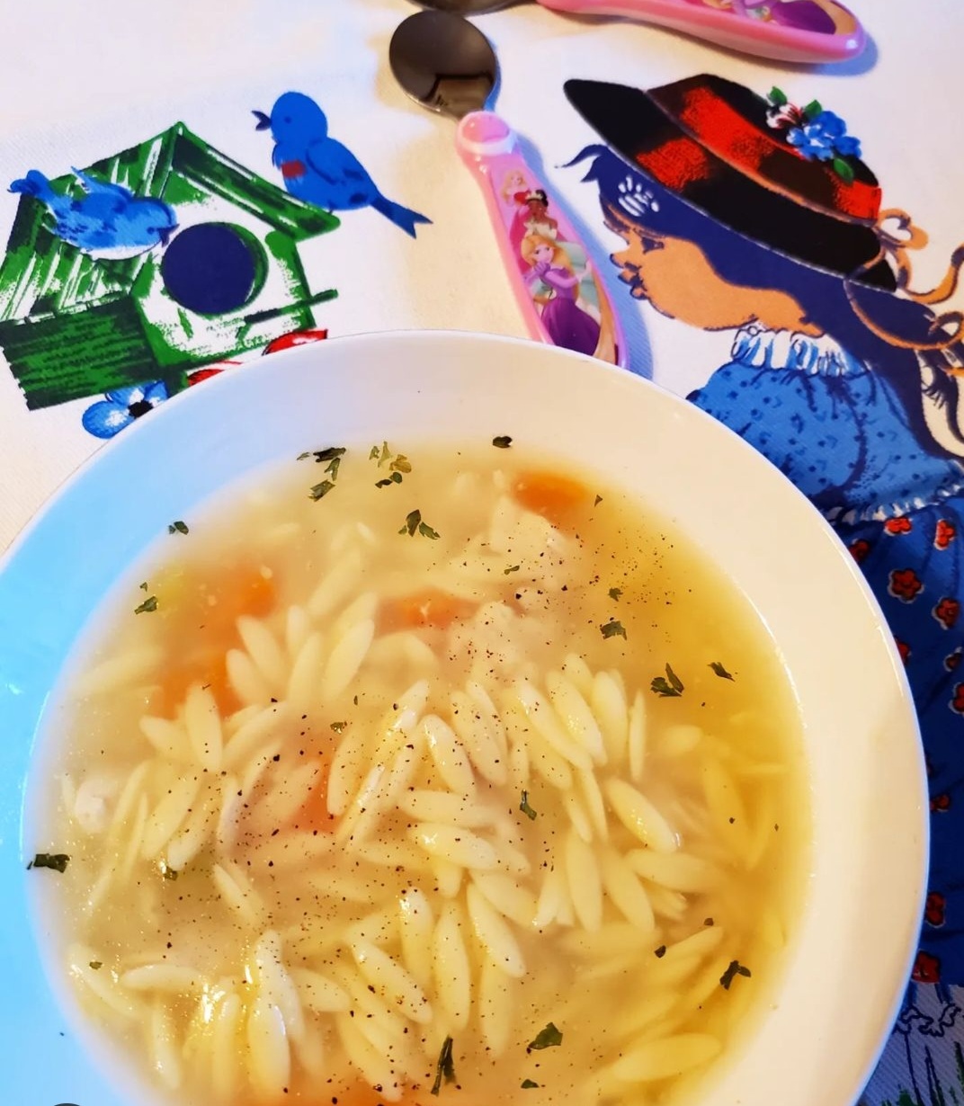 Chicken & Orzo Pasta Soup – Tia Maria's Blog - Food Artisanal